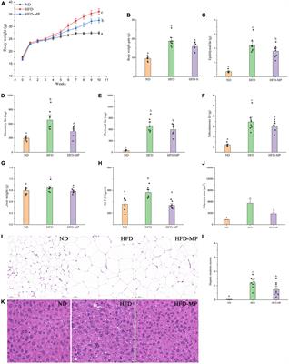 Yeast mannoproteins are expected to be a novel potential functional food for attenuation of obesity and modulation of gut microbiota